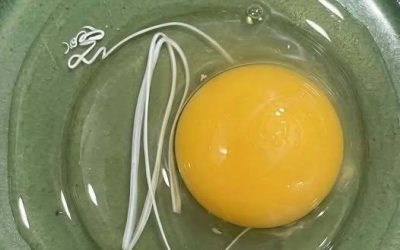 Heute Morgen bin ich aufgewacht und habe beschlossen, Spiegeleier zu machen.