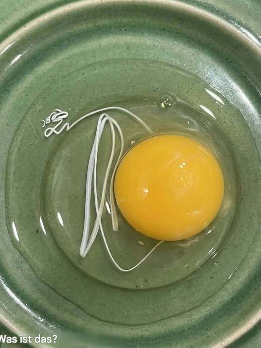 Heute Morgen bin ich aufgewacht und habe beschlossen, Spiegeleier zu machen.
