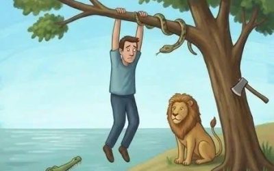 Dieses Bild ist spannend. Kannst du es lösen?