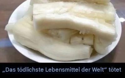 Obwohl es das tödlichste Nahrungsmittel der Welt ist, konsumieren es immer noch 500 Millionen Menschen, und es fordert jährlich über 200 Menschenleben.