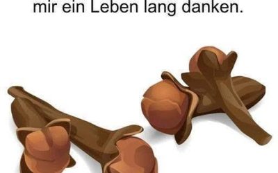 Dieses aromatische Kraut hält den ganzen Sommer über Mücken fern.