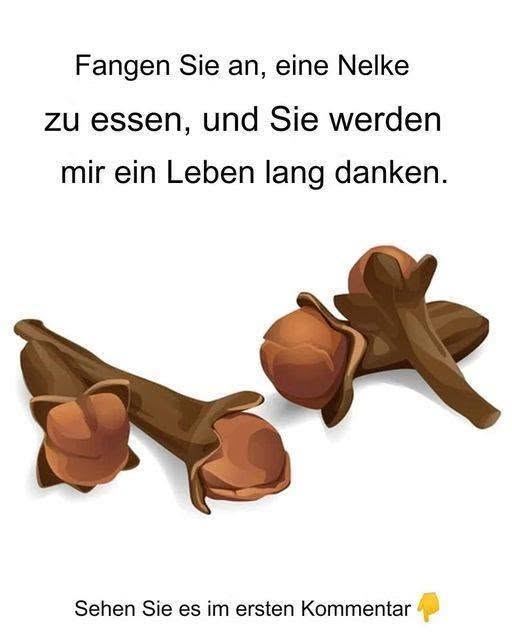 Dieses aromatische Kraut hält den ganzen Sommer über Mücken fern.