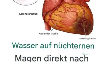 Wussten Sie, dass Wassertrinken auf leeren Magen