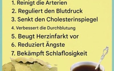 Lorbeerblätter sind ein beliebtes Gewürz,