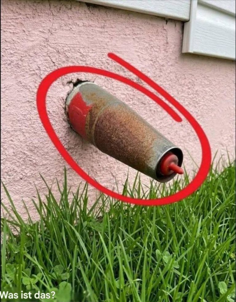 Ich habe das an der Wand meiner Garage entdeckt … und jetzt geht es mir nicht mehr aus dem Kopf
