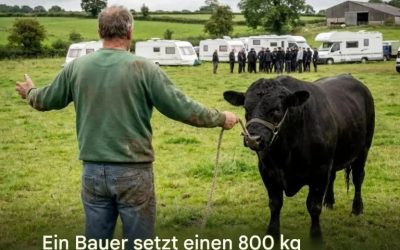 Da die Reisenden sich weigerten zu gehen, trieb ein Bauer sie mit einem Stier fort.