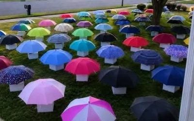 Mein Sohn gab während eines Sturms einer schwangeren Frau seinen Regenschirm – am nächsten Morgen bedeckten 47 Regenschirme unseren Garten, jeder mit einer nummerierten Box.