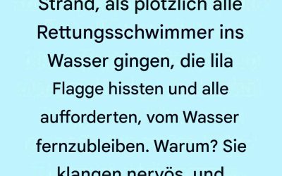 Was bedeutet die violette Flagge am Strand? Die versteckte Warnung vor dem Ozean, die die meisten Schwimmer ignorieren.