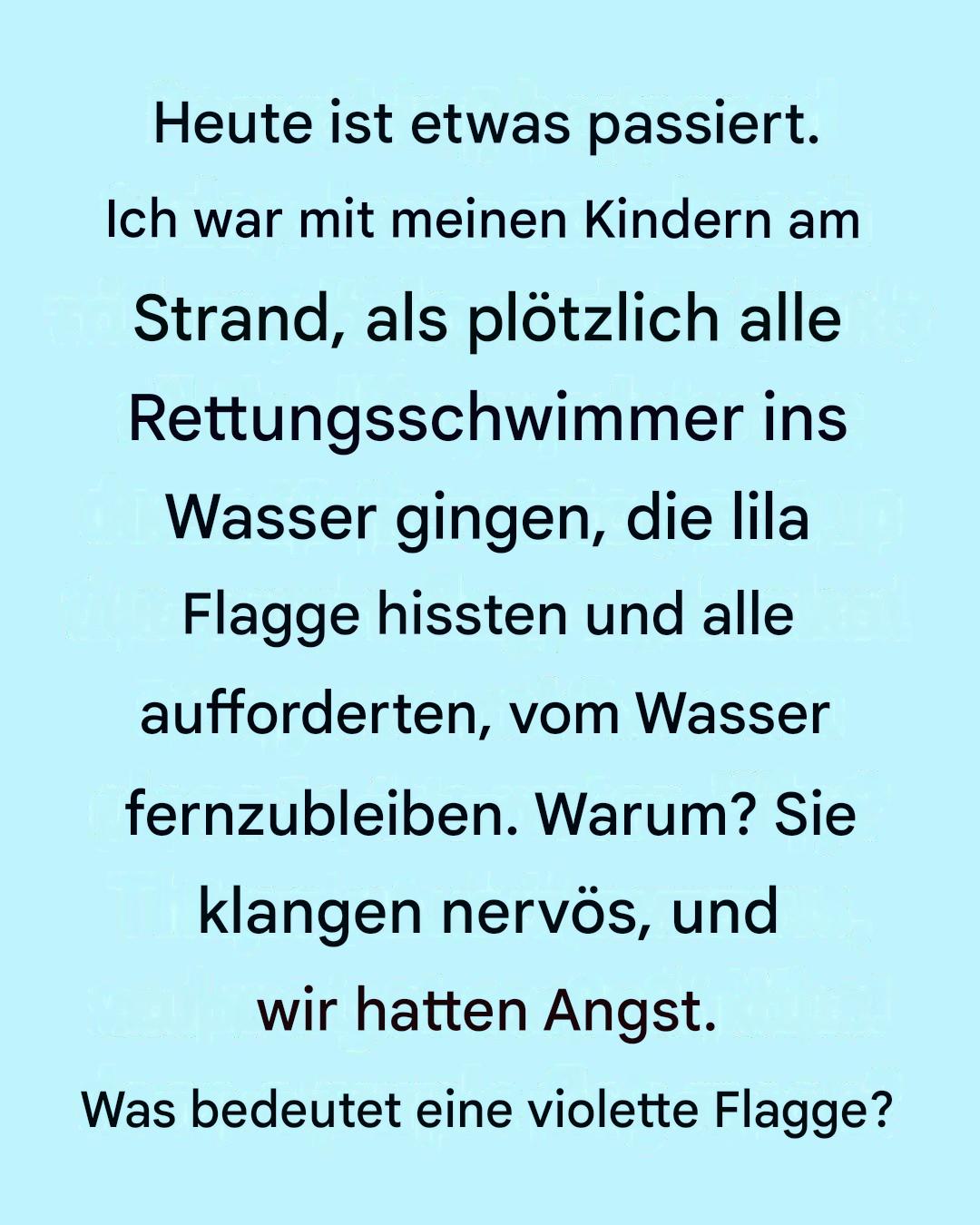 Was bedeutet die violette Flagge am Strand? Die versteckte Warnung vor dem Ozean, die die meisten Schwimmer ignorieren.
