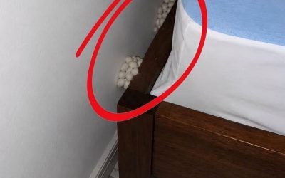 Ich kam erschöpft nach Hause und hoffte auf eine ruhige Nacht, doch ein Detail ließ mich erkennen, dass etwas nicht stimmte.