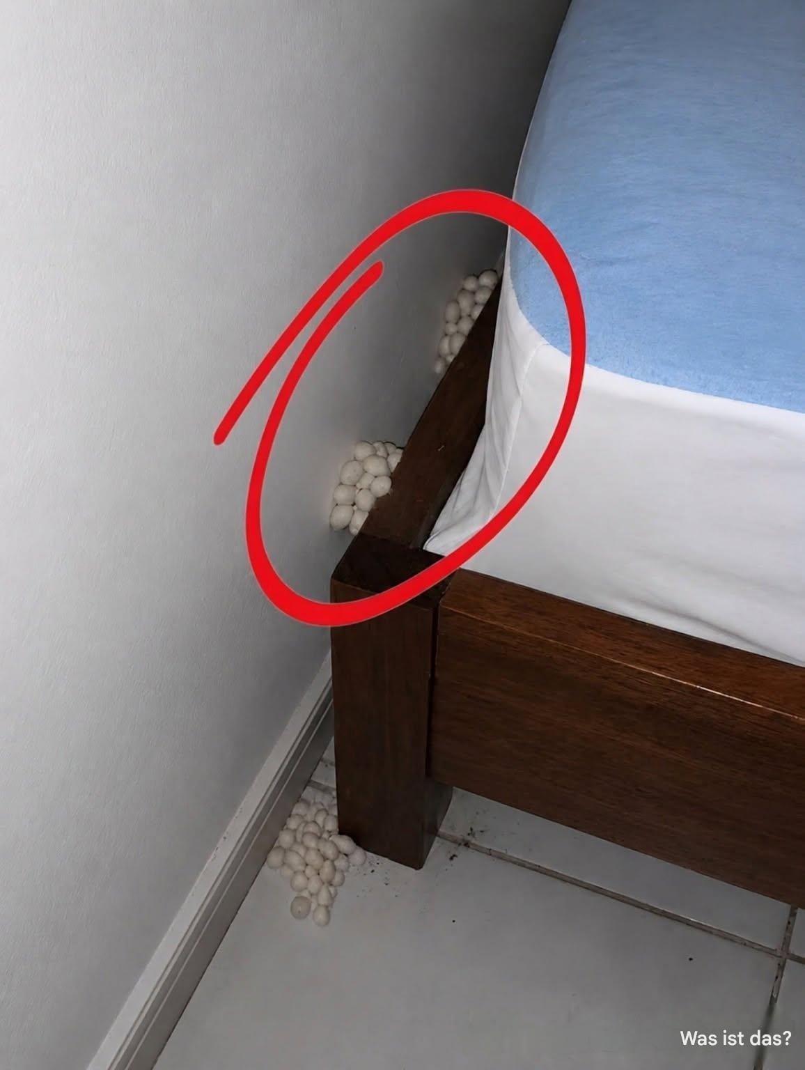 Ich kam erschöpft nach Hause und hoffte auf eine ruhige Nacht, doch ein Detail ließ mich erkennen, dass etwas nicht stimmte.