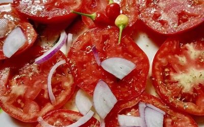 Wissenschaftler enthüllen, dass der Verzehr von Tomaten die Ursache für … ist. Weiterlesen