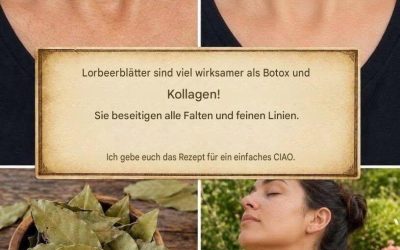 Lorbeerblätter sind viel wirksamer als Botox und Kollagen!