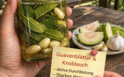 90 % der Menschen kennen dieses Rezept und seine vielen Vorteile nicht. Mit nur Guavenblättern und Knoblauch können Sie Ihre Herzgesundheit unterstützen und die Durchblutung verbessern. Ein einfaches, aber überraschend wirksames Mittel. Sie werden nie wieder ins Krankenhaus müssen. Möchten Sie das detaillierte Rezept? Schreiben Sie einfach „OK“ in die Kommentare, und ich schicke es Ihnen als ersten Kommentar!